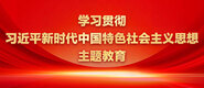 大机吧操小逼视频学习贯彻习近平新时代中国特色社会主义思想主题教育_fororder_ad-371X160(2)